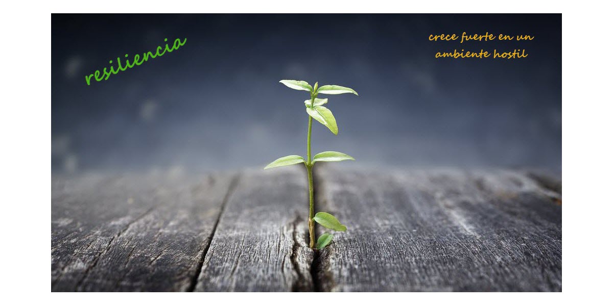 Resilencia