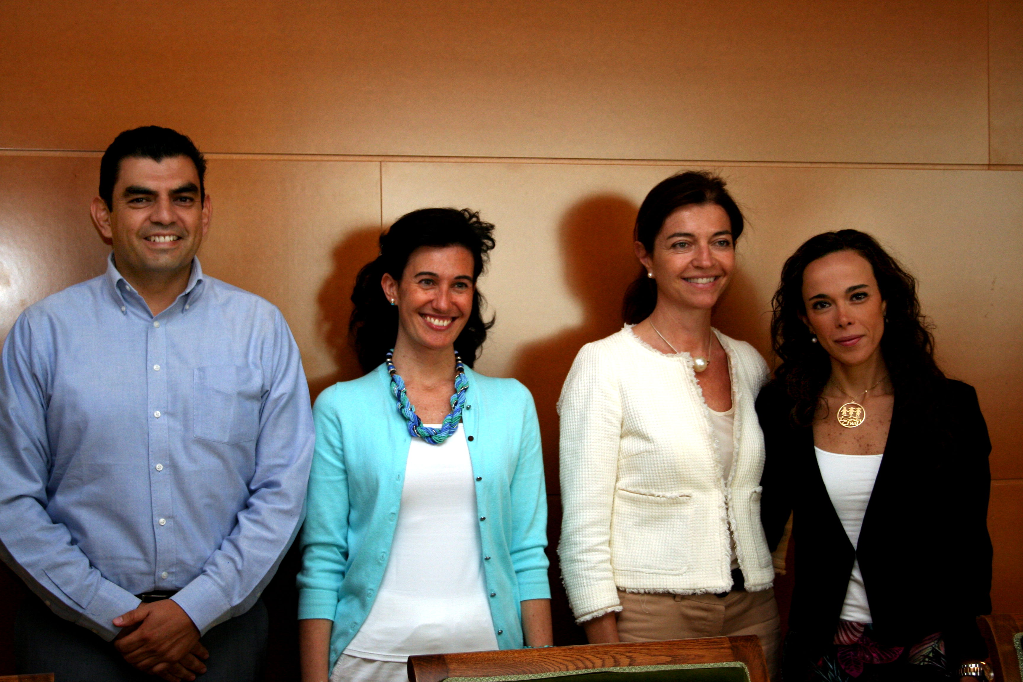 D. Jorge Martínez Iracheta, Dña. Elena Vicente Domingo, Dña. María Pilar Alonso Abad, Dña. Araceli Martínez Sotomayor Noval