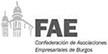 Logo de la FAE