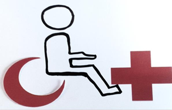 Diversidad Funcional II