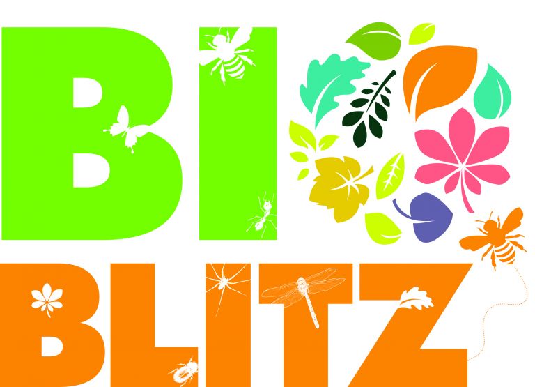 Bio Blitz
