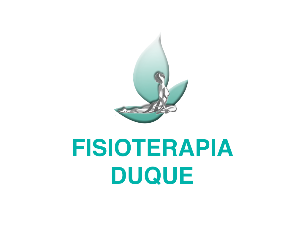 Fisioterapia Duque