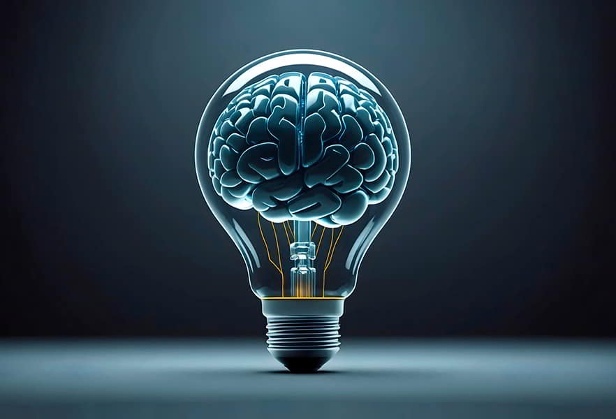 Descripción general