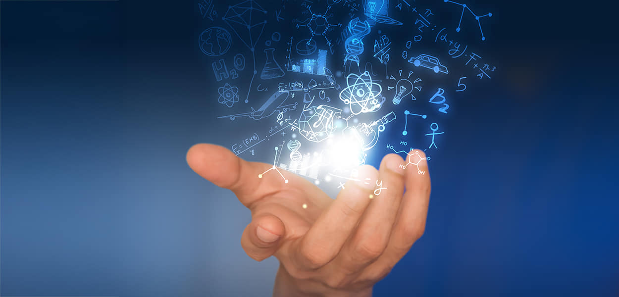 Salidas profesionales