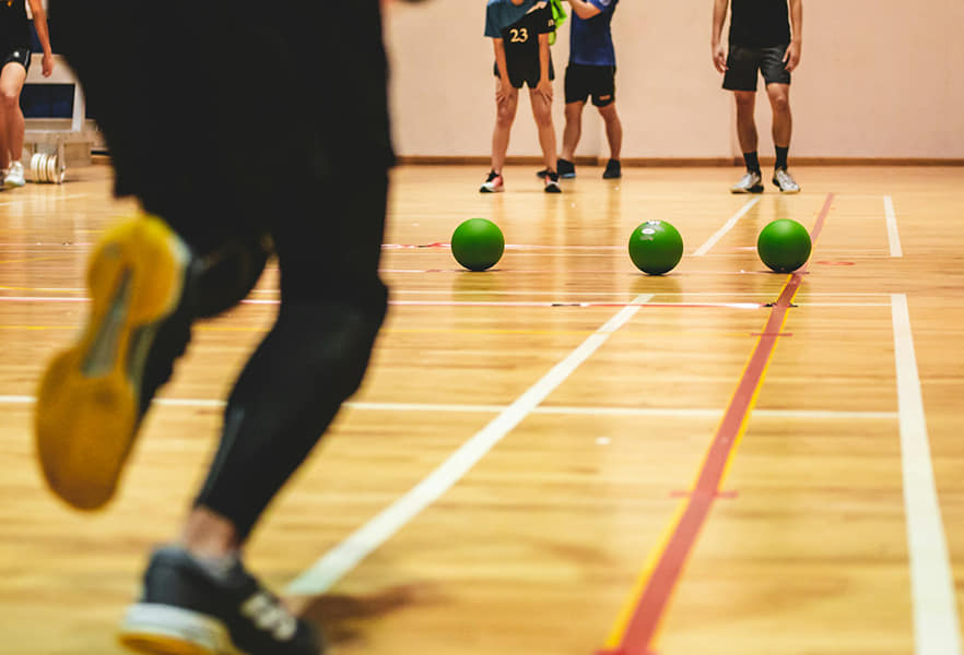 Líneas de trabajo e innovación