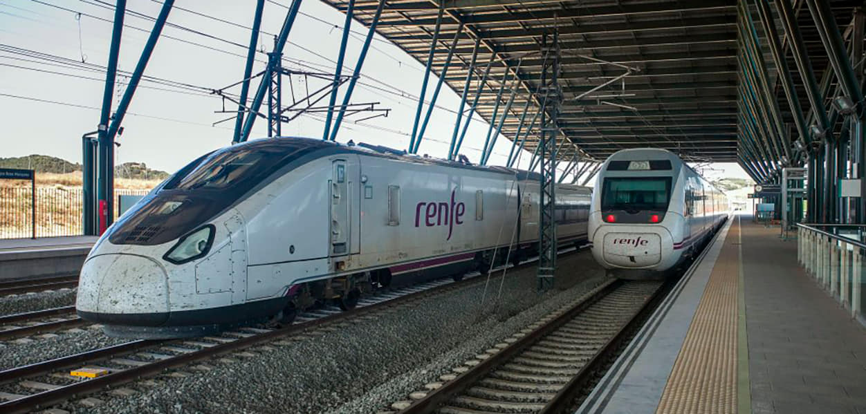 Salidas Profesionales