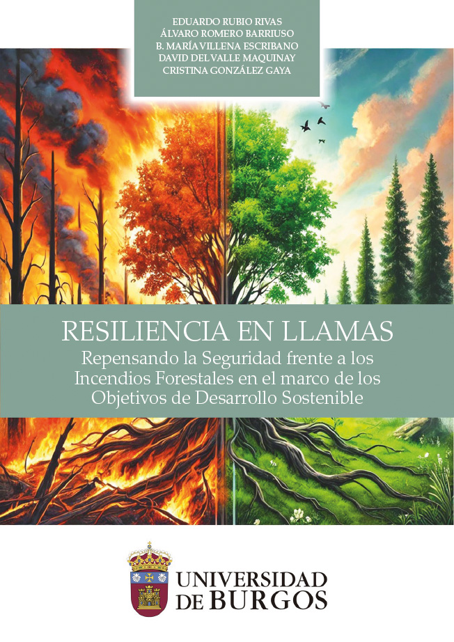 Imagen de la publicación: Resiliencia en llamas. Repensando la Seguridad frente a los Incendios Forestales en el marco de los Objetivos de Desarrollo Sostenible