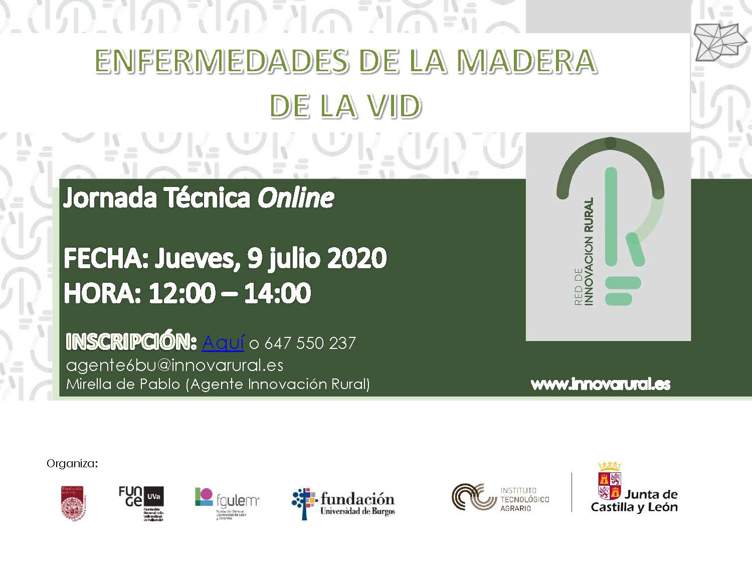 Jornada online. Enfermedades de la madera de la vid