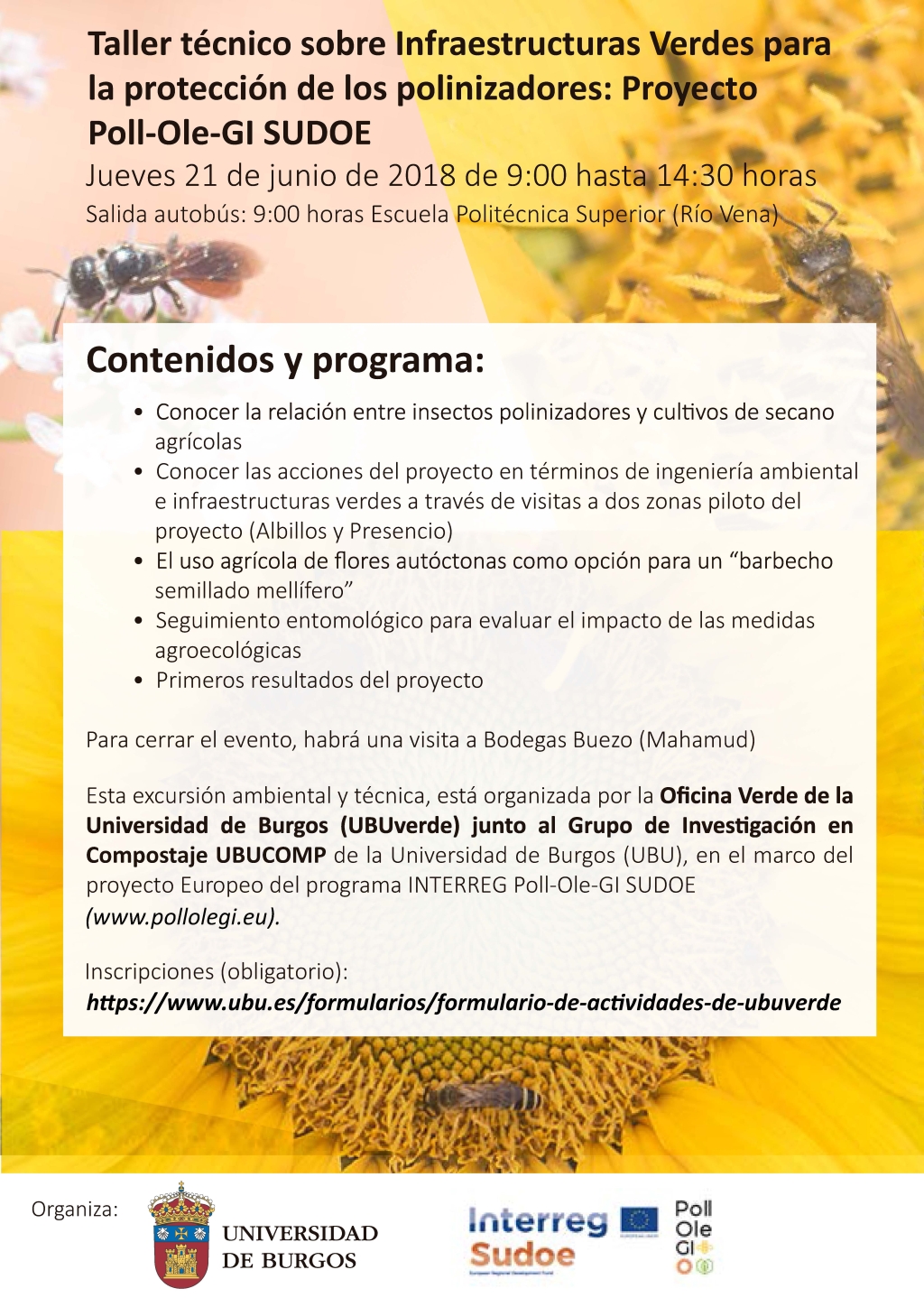 Proyecto Pll-Ole-Gi SUDOE