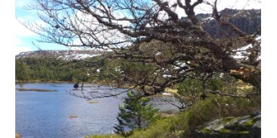 Lagunas de Haedillo