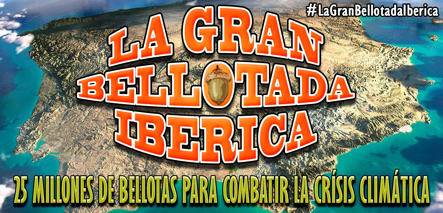 gran bellotada