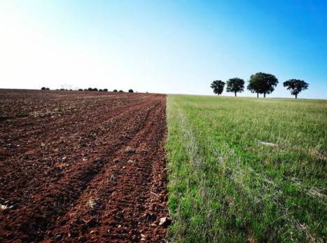 Conferencia Ambiental: "Ganadería Regenerativa y Manejo Holístico" | Universidad de Burgos