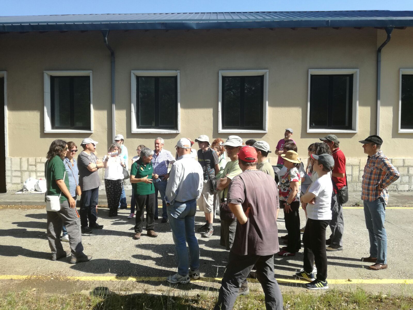 Bosque de Villafría