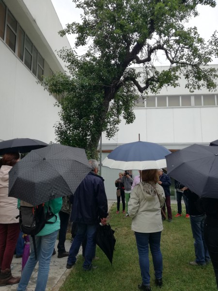 Peral en la Escuela Politécnica Superior