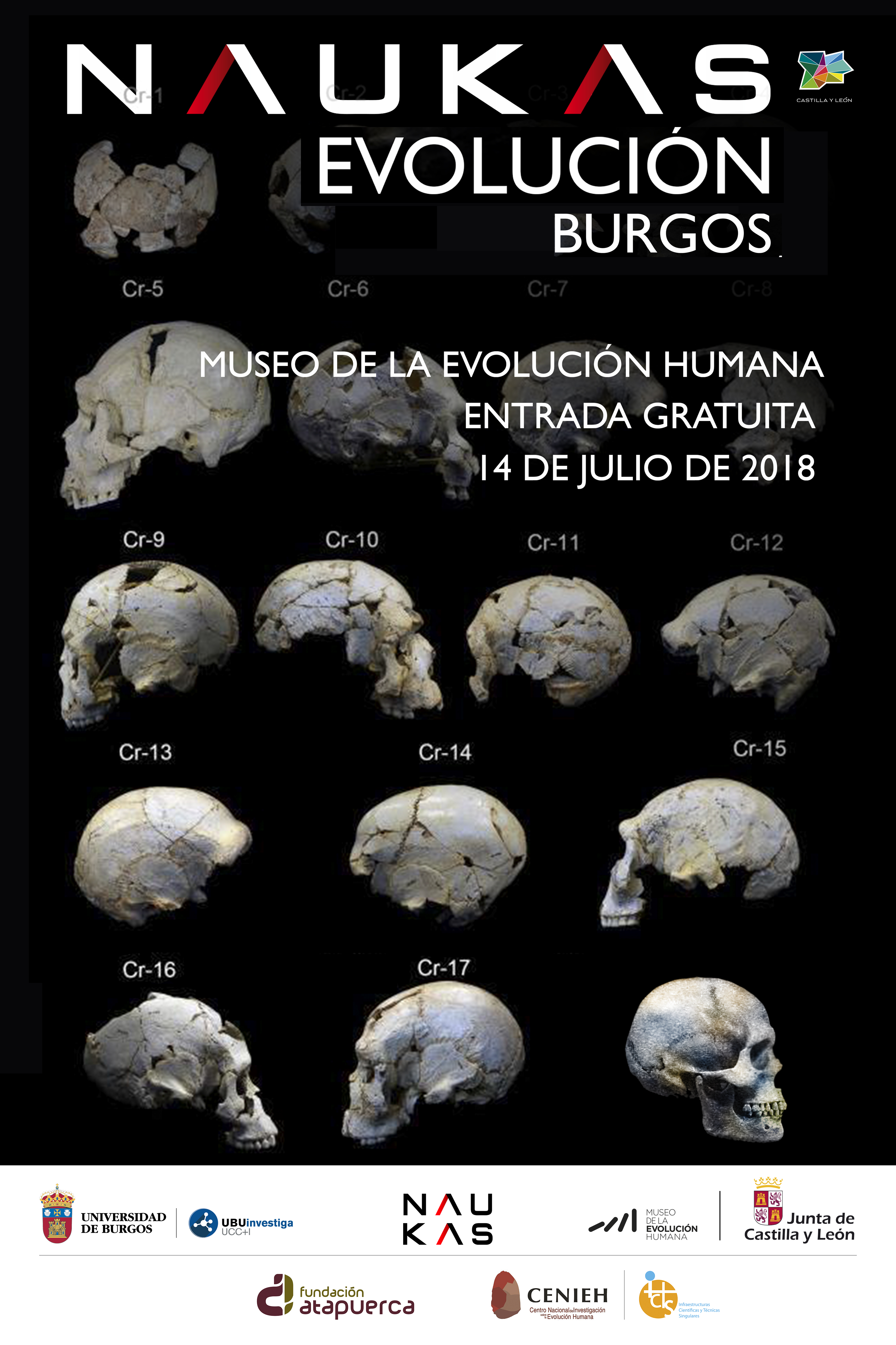 Naukas Evolución Burgos