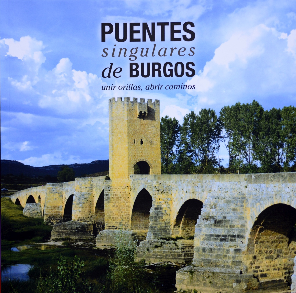 Puentes singulares