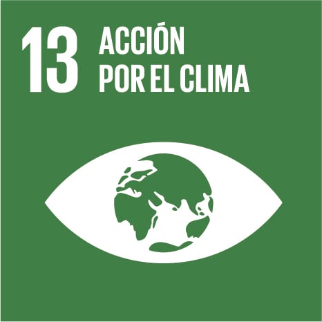 13 Acción por el Clima