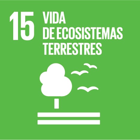 Vida de Ecosistemas Terrestres