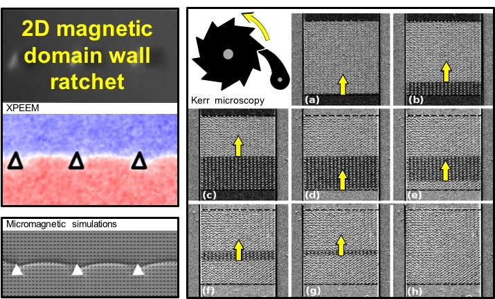 Seminario Julia Herrero-Albillos