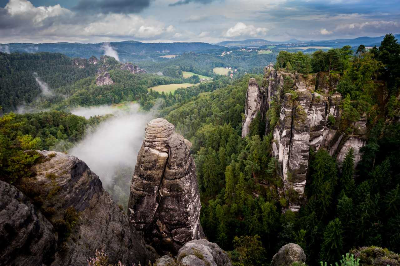 Ganador I Concurso de Fotografía Ambiental