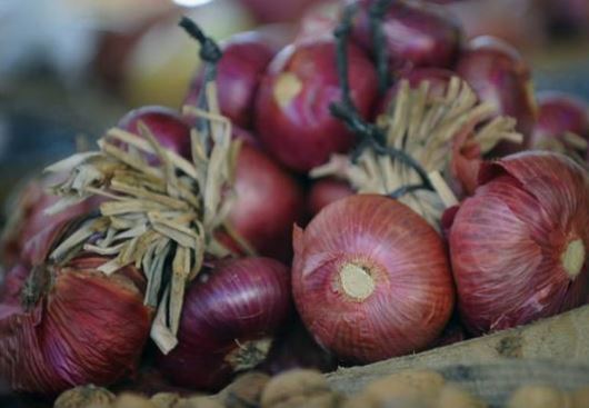 cebollas