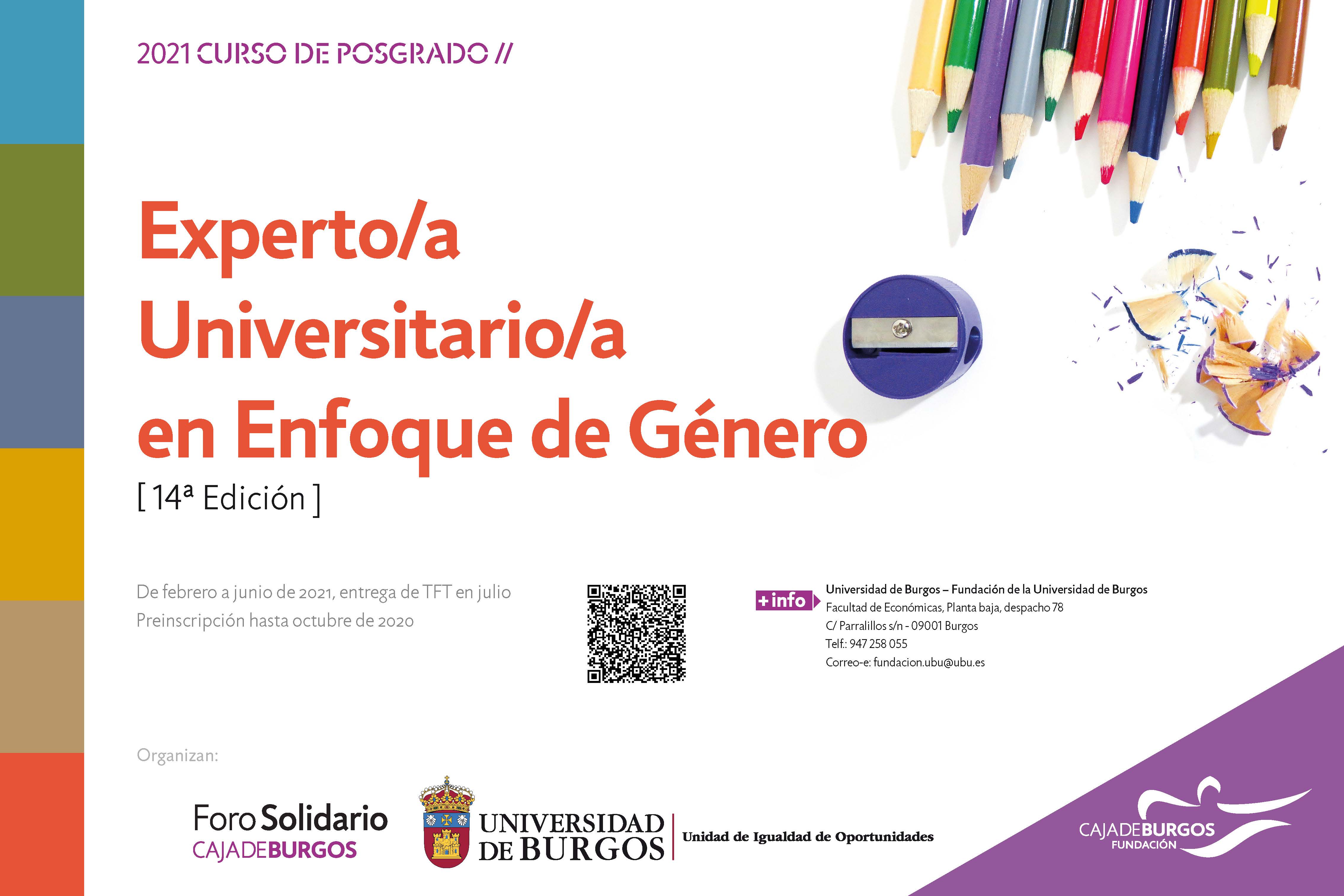 Cartel Experto/a Universitario/a en Enfoque de Género