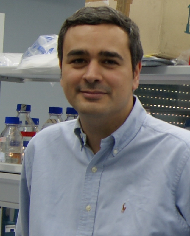 David Rodríguez Lázaro