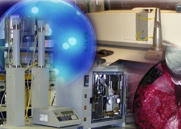 Doctorado en Avances en Ciencia y Biotecnología Alimentarias