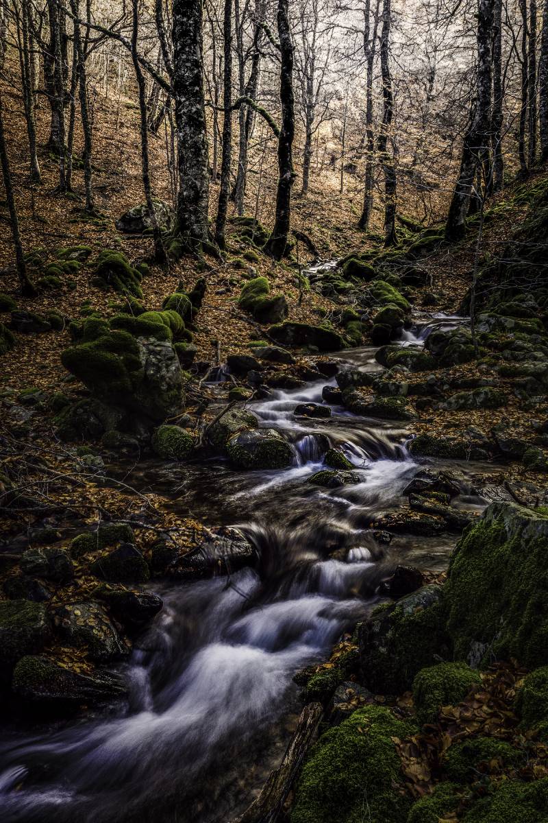 El discurso del silencio "Daniel Maté Moreno"