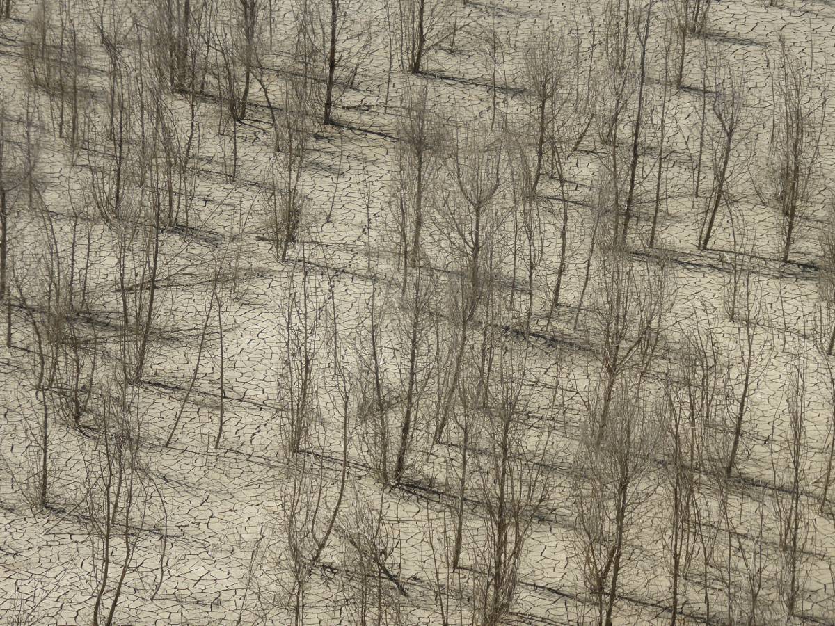 Huellas "José María López Lacalle"