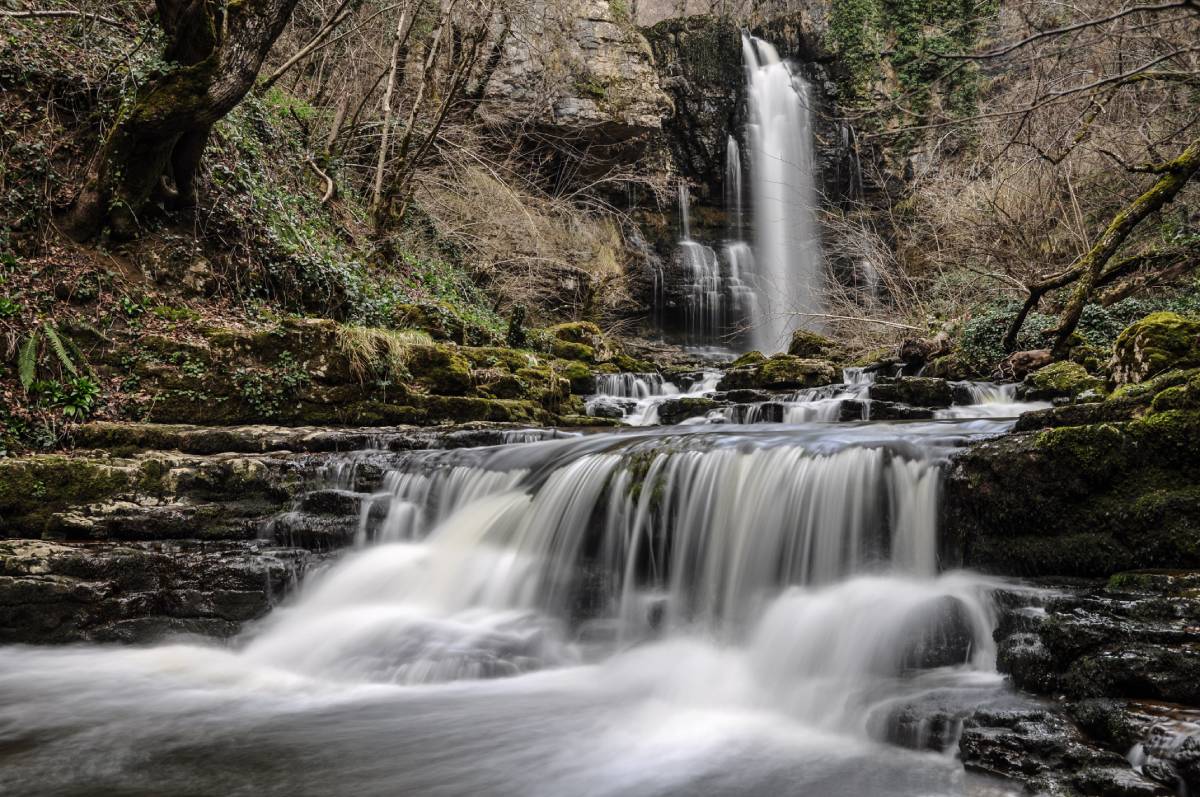 Las pisas "Emilio Gutiérrez García"