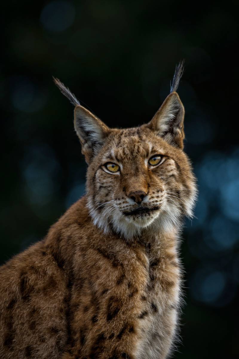 Mirada directa al recuerdo "Miguel Ángel Pérez Rodríguez"