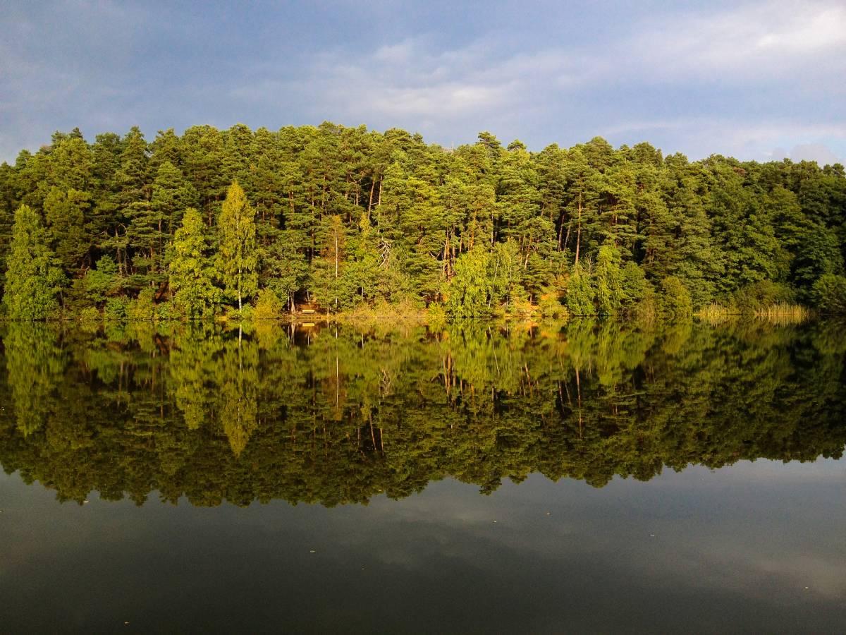 Mörk "Reyes Martín González"