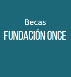 Programa Becas Prácticas Fundación Once - CRUE Universidades Españolas 2016/2017