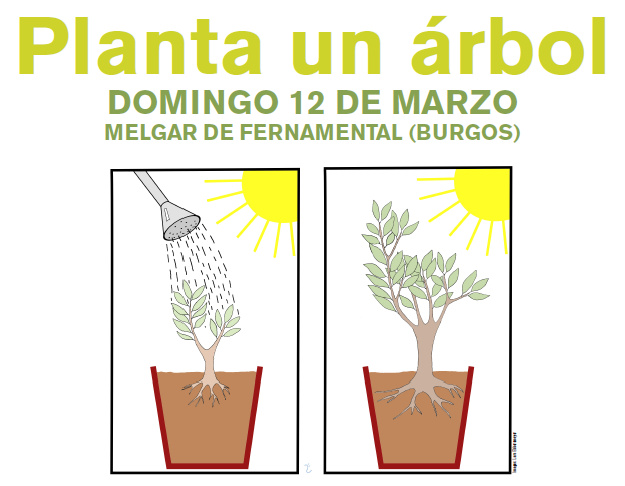 Planta un árbol