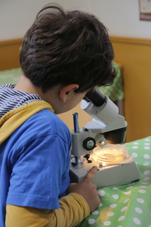 III Feria de Ciencia y Tecnología de Castilla y León