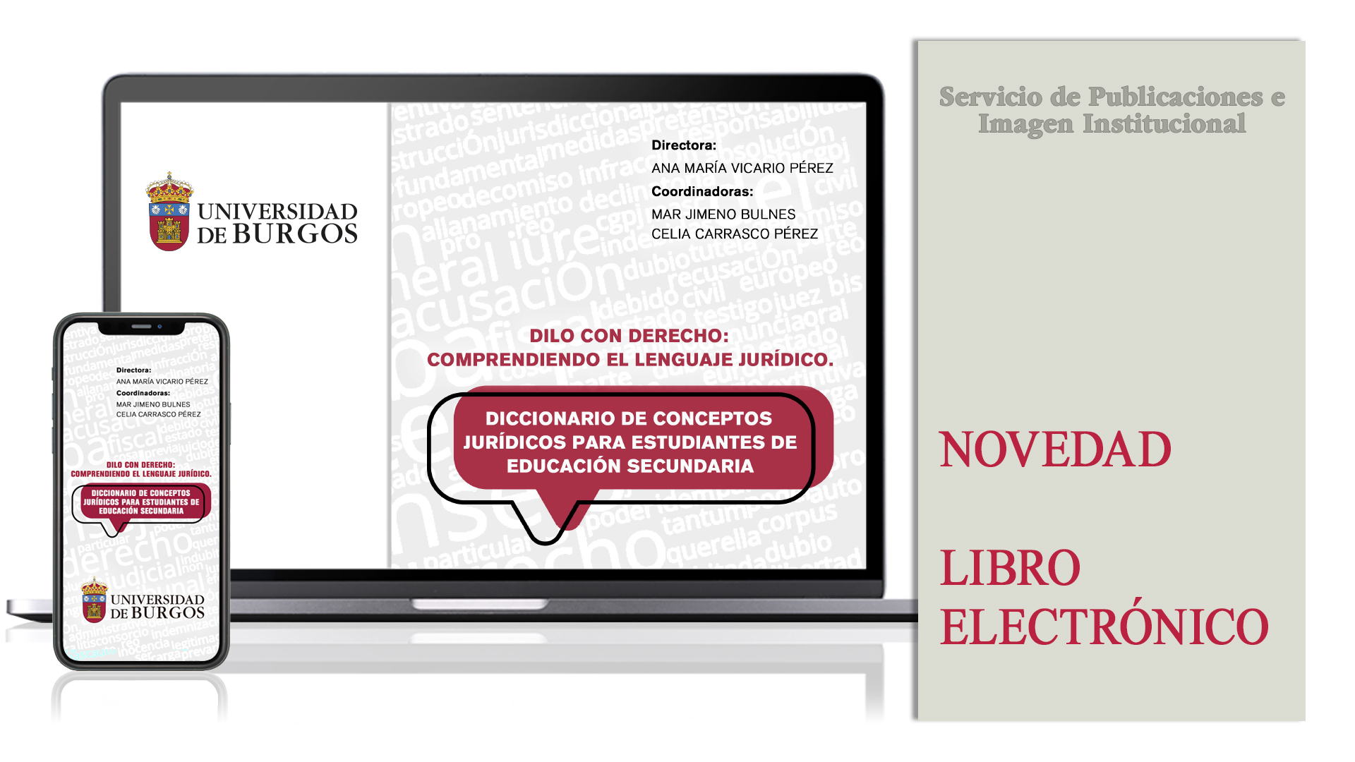 Imagen de la publicación: Dilo con Derecho: comprendiendo el lenguaje jurídico. Diccionario de conceptos jurídicos
