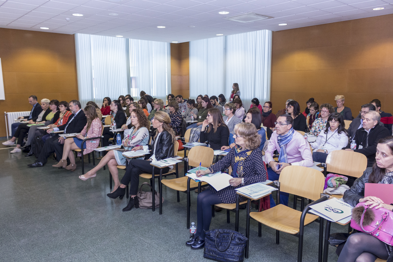 Jornada de Enseñanza de Idiomas en Castilla y León: Experiencias Docentes, 