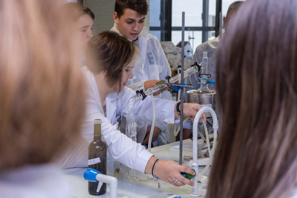 Erasmus + Enocultura