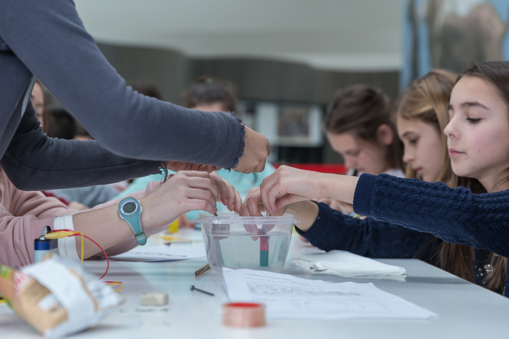Sabados Ciencia MEH 2019