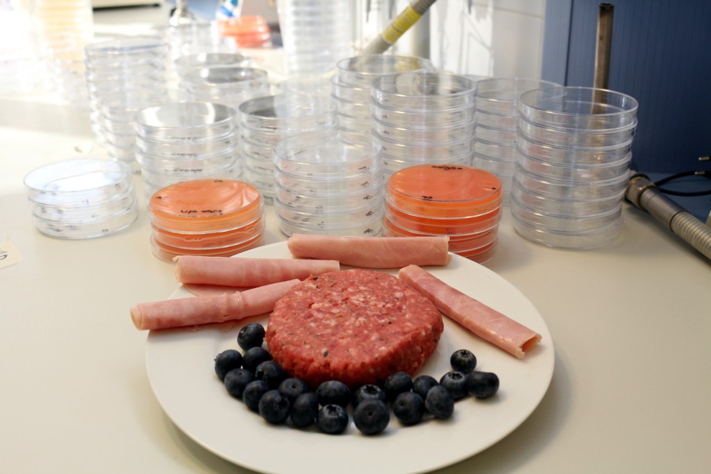 El extracto de arándano reduce la Listeria y otras bacterias en la carne de cerdo