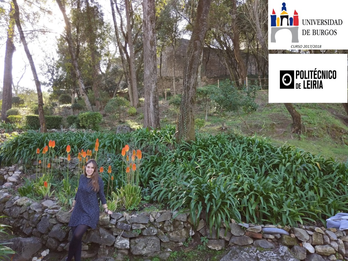 30 aniversario erasmus 