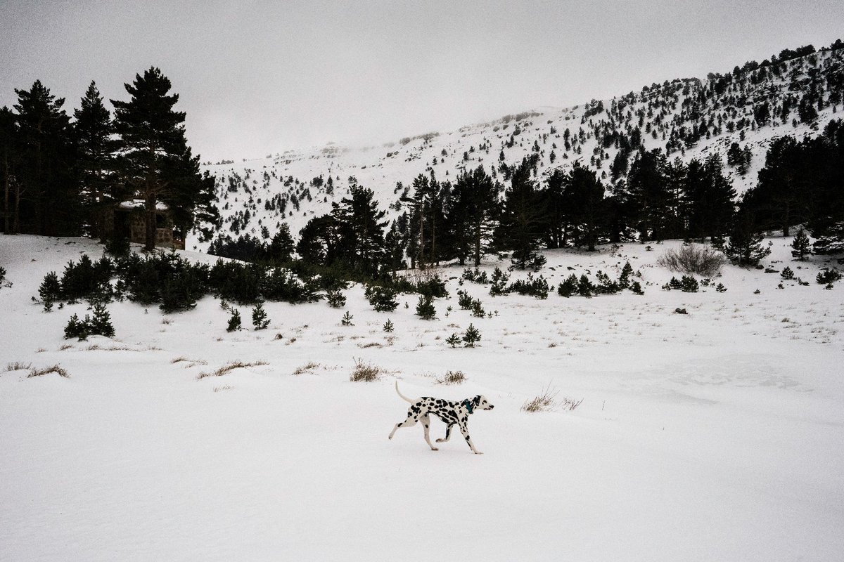 "Stracciatella" de Virginia López Díaz