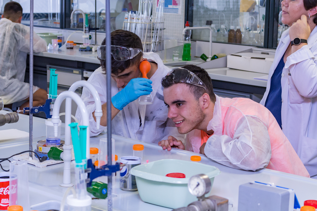 Programa Campus inclusivo, Campus sin Límites