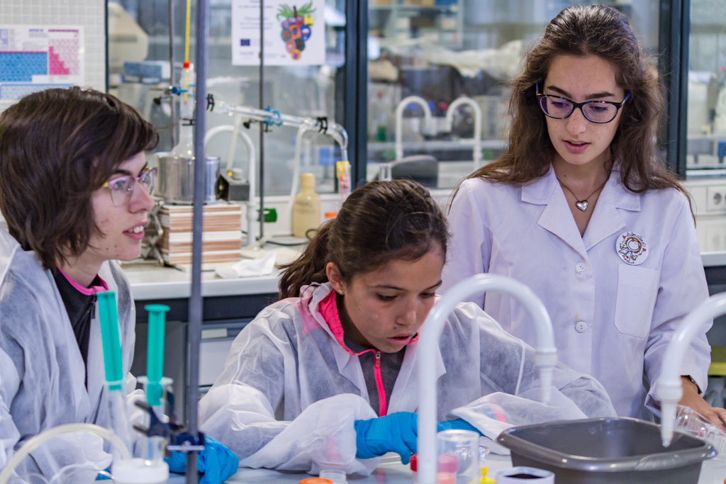 Programa Campus inclusivo, Campus sin Límites