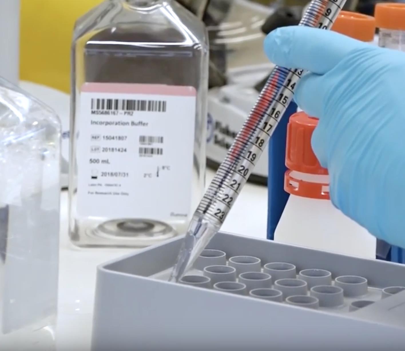 Un estudio liderado por la UBU analiza la presencia del virus de la hepatitis E en el ganado porcino español