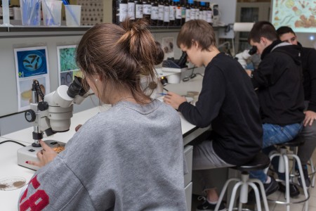 Las universidades públicas de Castilla y León ofertan divulgación científica en la Noche Europea de los Investigadores