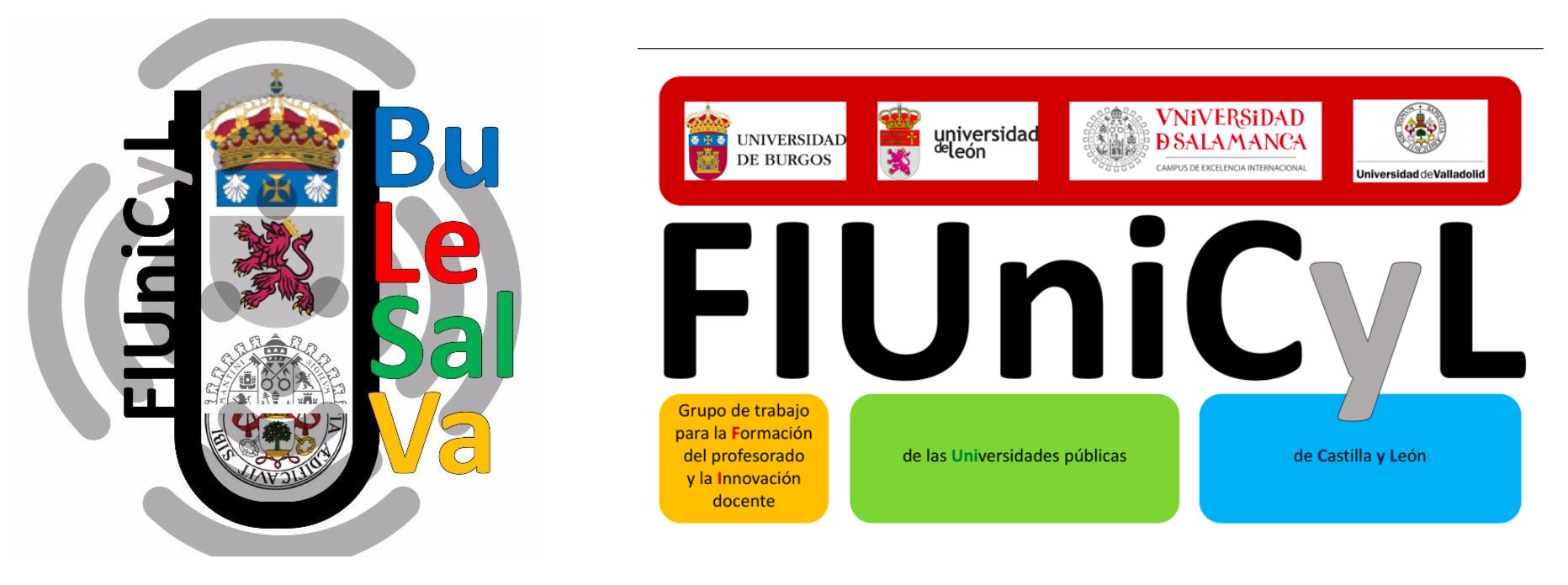 FIUniCyL. Grupo de trabajo para la Formación del profesorado y la Innovación docente de las Universidades públicas de Castilla y León