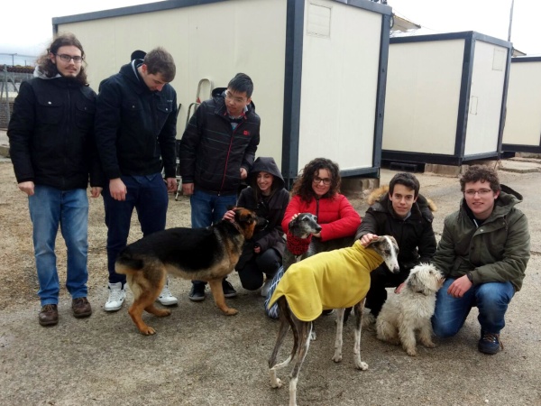 Five dollar challenge