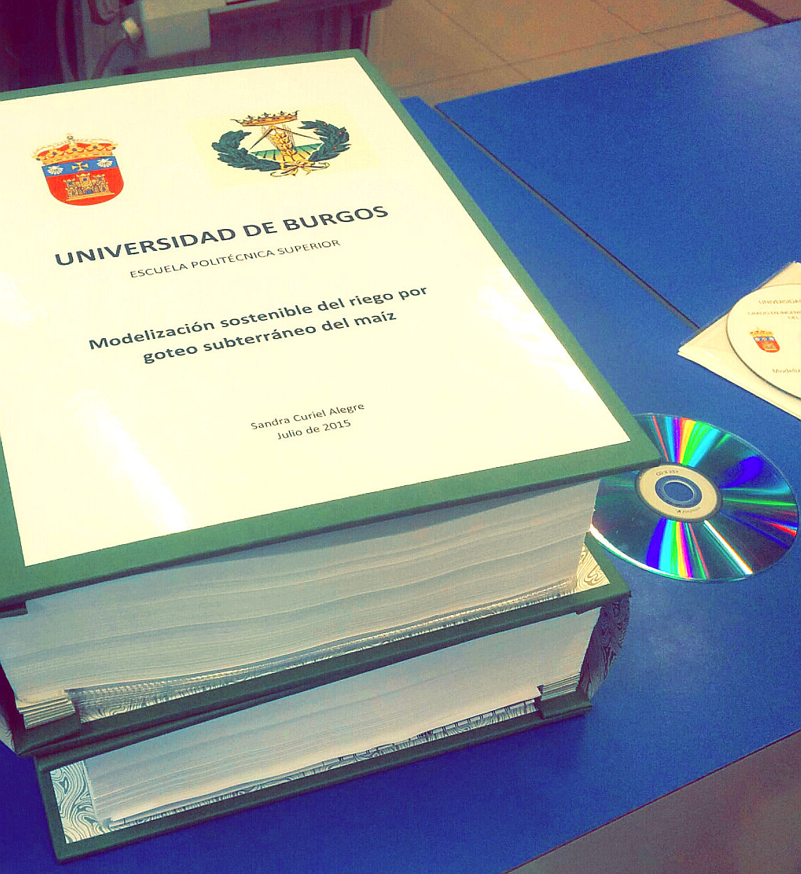 Sandra Curiel Alegre - proyecto